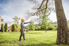 Best Emergency Tree Removal  in Moreland Hills, OH